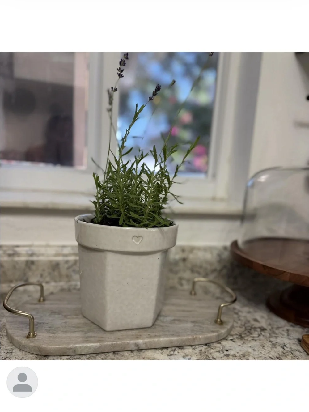 Hearth & Hand ceramic planter